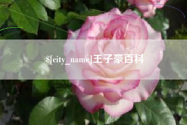 临清王子豪百科
