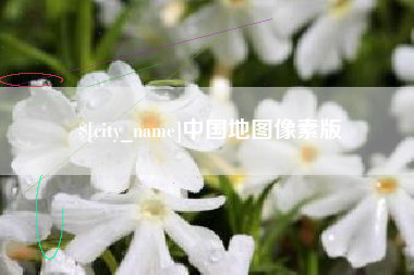 临清中国地图像素版