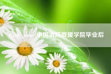 临清中国消防救援学院毕业后