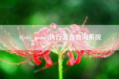 临清执行公告查询系统