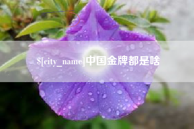 临清中国金牌都是啥