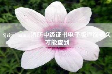 临清消防中级证书电子版查询多久才能查到