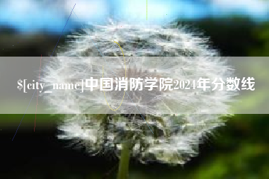 临清中国消防学院2024年分数线