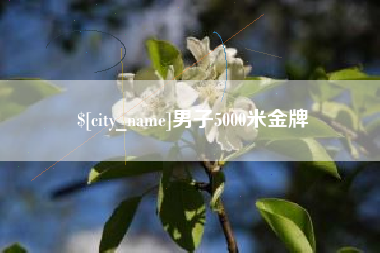 临清男子5000米金牌
