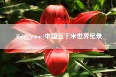 临清中国五千米世界纪录