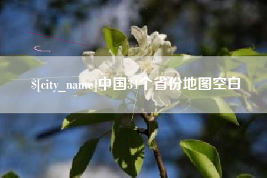 临清中国34个省份地图空白