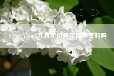临清九宫星位是定位不变的吗