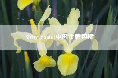 临清中国金牌包括