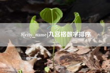 临清九宫格数字排序