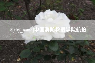 临清中国消防救援学院航拍