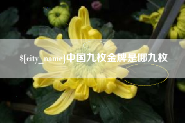 临清中国九枚金牌是哪九枚