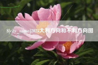 临清2025大利方向和不利方向图