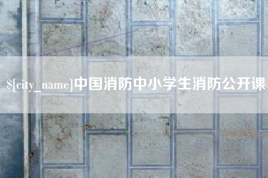 临清中国消防中小学生消防公开课