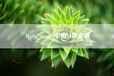 临清中国19块金牌