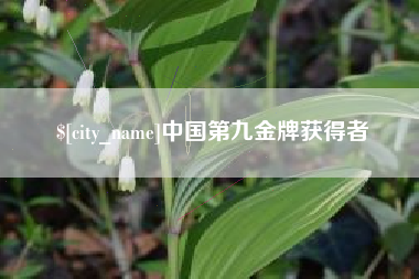 临清中国第九金牌获得者