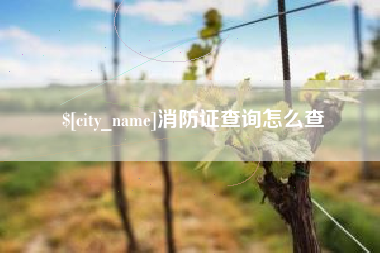 临清消防证查询怎么查