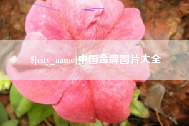 临清中国金牌图片大全