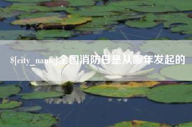 临清全国消防日是从哪年发起的
