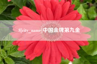 临清中国金牌第九金