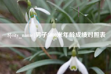 临清男子5000米年龄成绩对照表