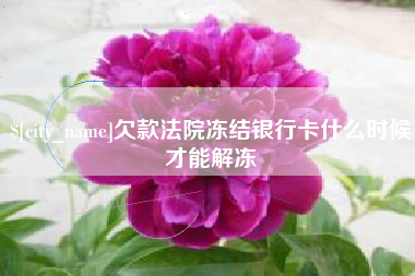 临清欠款法院冻结银行卡什么时候才能解冻