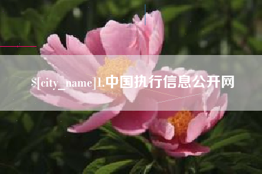 临清1.中国执行信息公开网