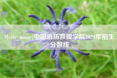 临清中国消防救援学院2024年招生分数线