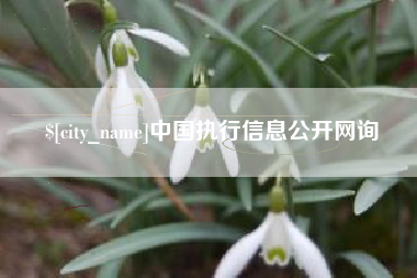 临清中国执行信息公开网询