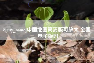临清中国地图高清版可放大 全国 电子版吗