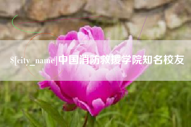 临清中国消防救援学院知名校友