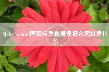 临清国家应急救援员报名网址是什么