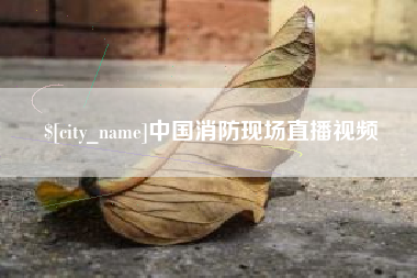 临清中国消防现场直播视频