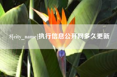 临清执行信息公开网多久更新