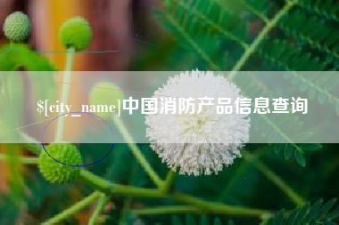 临清中国消防产品信息查询