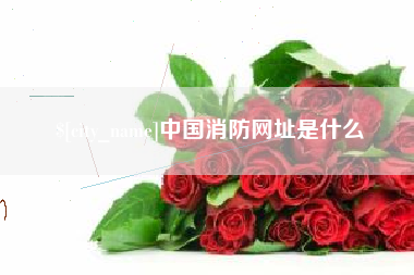 临清中国消防网址是什么