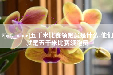 临清五千米比赛领跑员是什么-他们就是五千米比赛领跑员