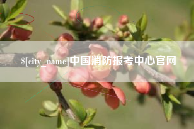 临清中国消防报考中心官网