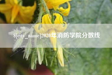 临清2020年消防学院分数线