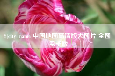 临清中国地图高清版大图片 全图 电子版