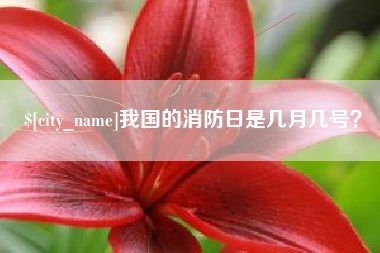 临清我国的消防日是几月几号？