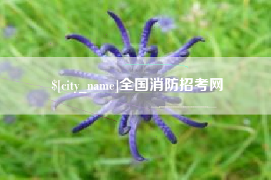 临清全国消防招考网