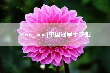 临清中国冠军手抄报