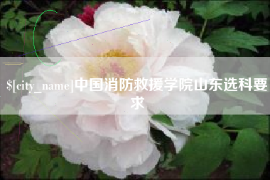 临清中国消防救援学院山东选科要求