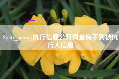 临清执行信息公开网查询不到被执行人信息