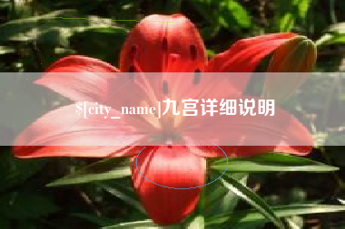临清九宫详细说明