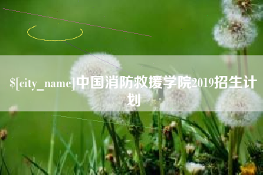 临清中国消防救援学院2019招生计划