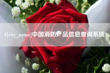 临清中国消防产品信息查询系统1