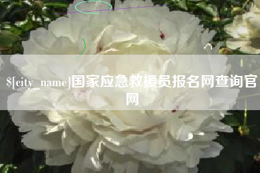 临清国家应急救援员报名网查询官网