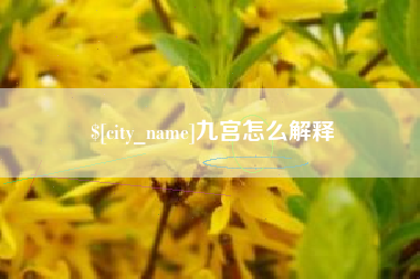 临清九宫怎么解释