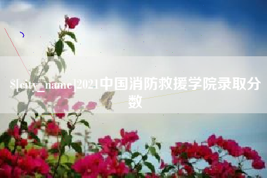 临清2021中国消防救援学院录取分数